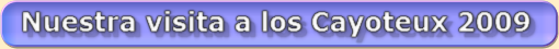 Album lessines